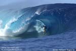 surf
